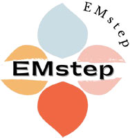 EMstep