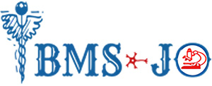 iBMS